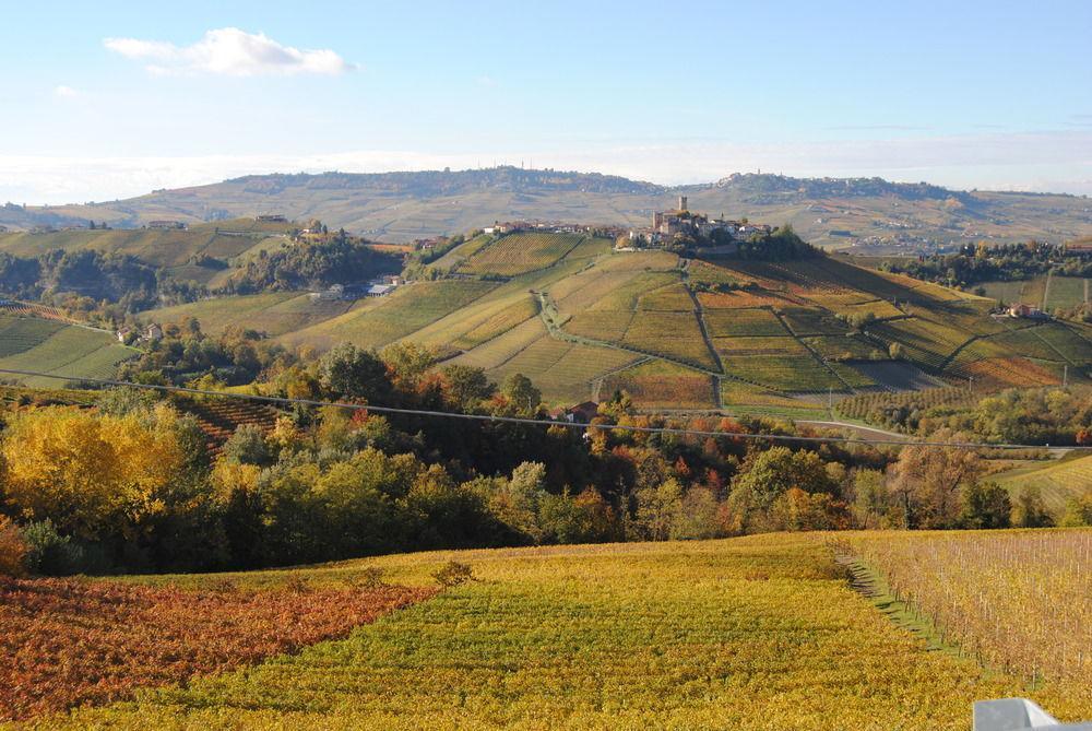Agriturismo I Grappoli Serralunga d'Alba Exterior foto